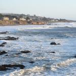 DSC_6406 (May 05, 2023)